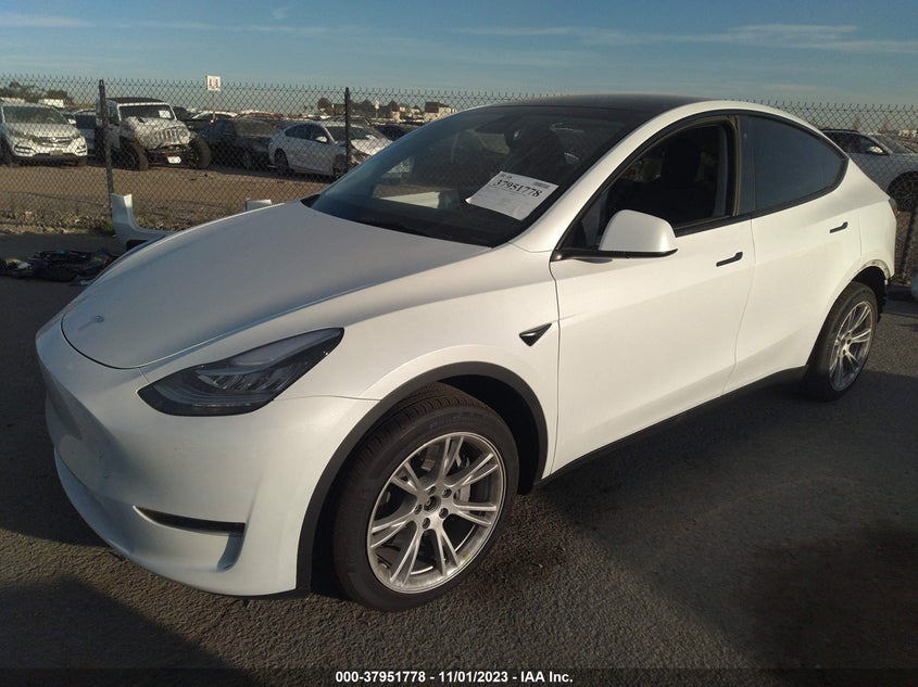 VIN 7SAYGDEEXPA098282 2023 TESLA MODEL Y