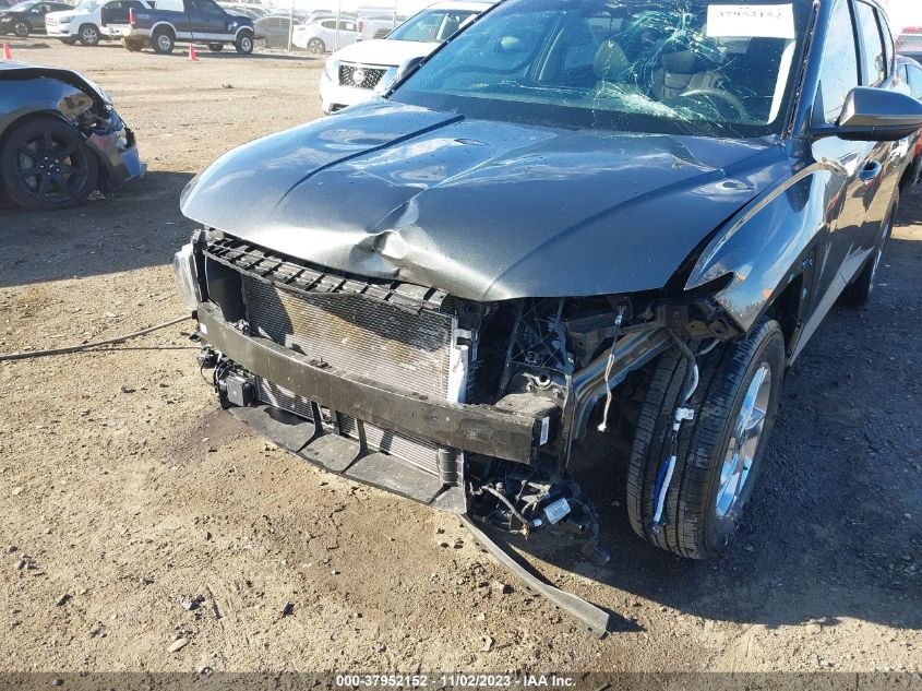 2023 HYUNDAI TUCSON SEL - 5NMJBCAE6PH242697