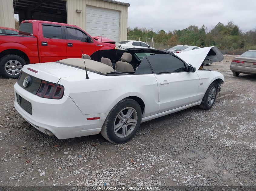 2014 FORD MUSTANG V6 - 1ZVBP8EM0E5319548