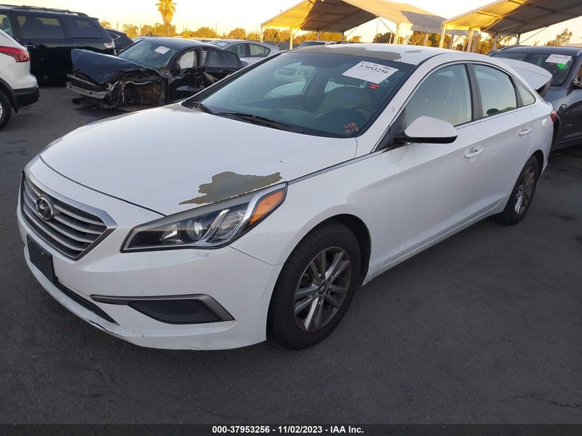 VIN 5NPE24AF7HH498156 2017 HYUNDAI SONATA SE