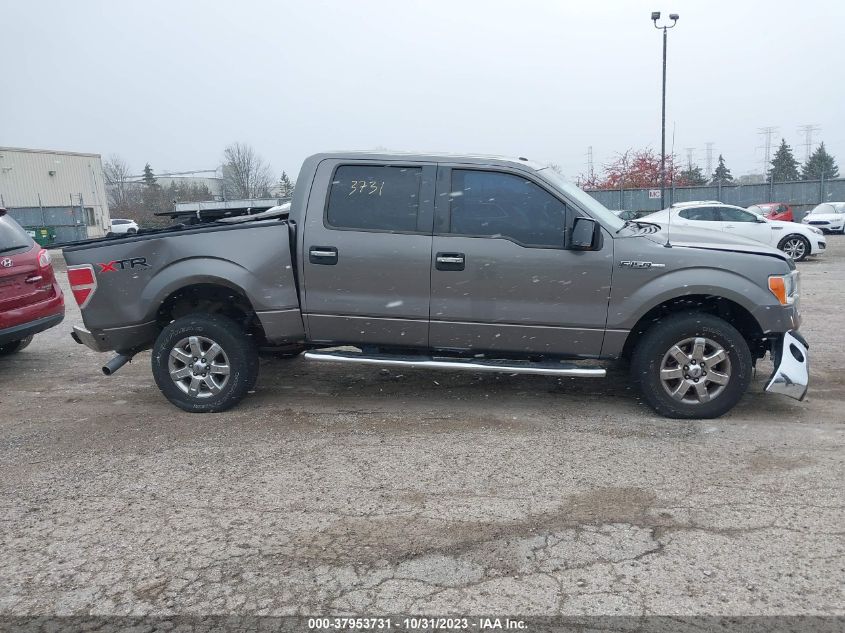 2013 FORD F-150 XLT - 1FTFW1EF6DFC99217