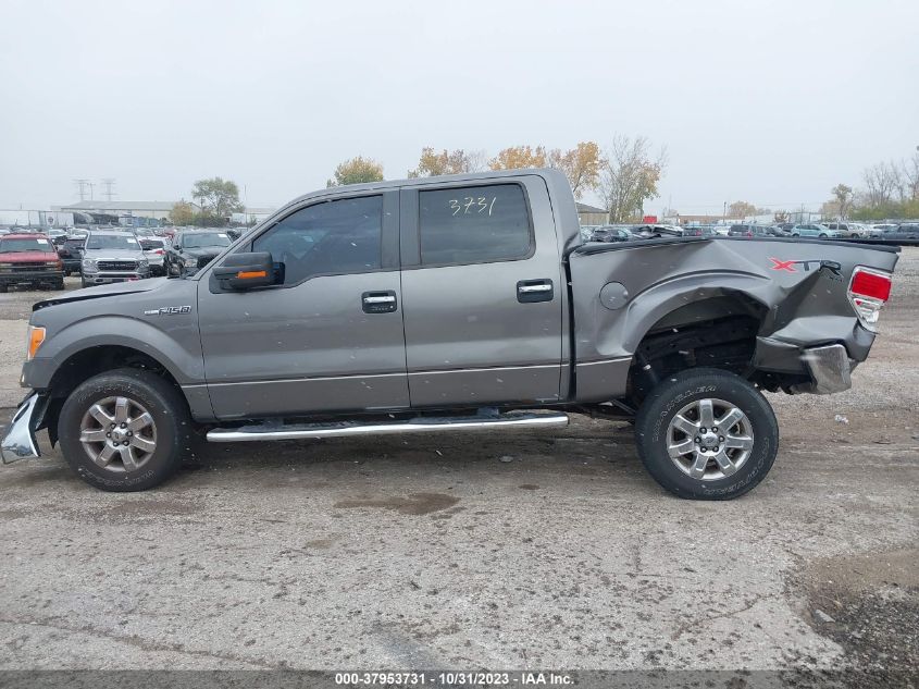 2013 FORD F-150 XLT - 1FTFW1EF6DFC99217