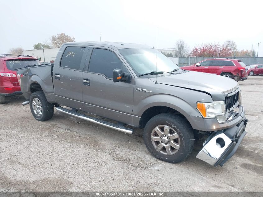 2013 FORD F-150 XLT - 1FTFW1EF6DFC99217