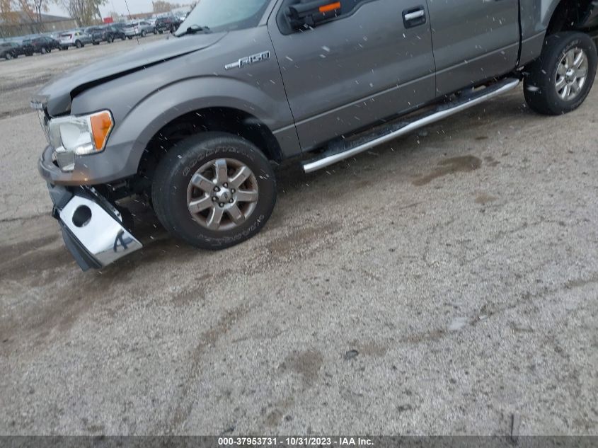 2013 FORD F-150 XLT - 1FTFW1EF6DFC99217