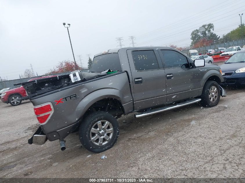 2013 FORD F-150 XLT - 1FTFW1EF6DFC99217