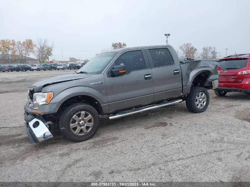 2013 FORD F-150 XLT - 1FTFW1EF6DFC99217