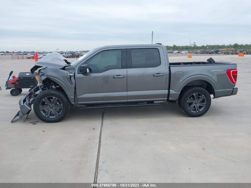 2023 FORD F-150 XLT - 1FTEW1C54PKD43216