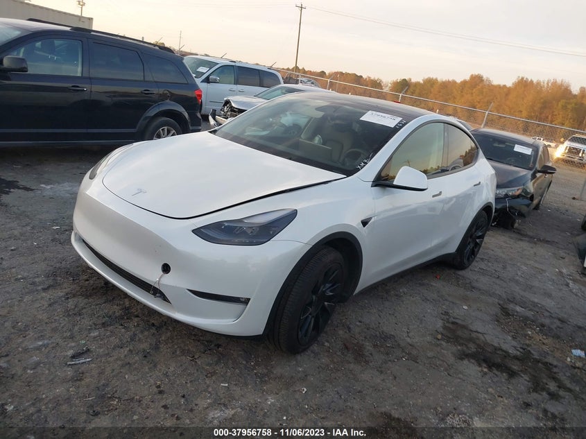 VIN 7SAYGDEE6PF666143 2023 TESLA MODEL Y