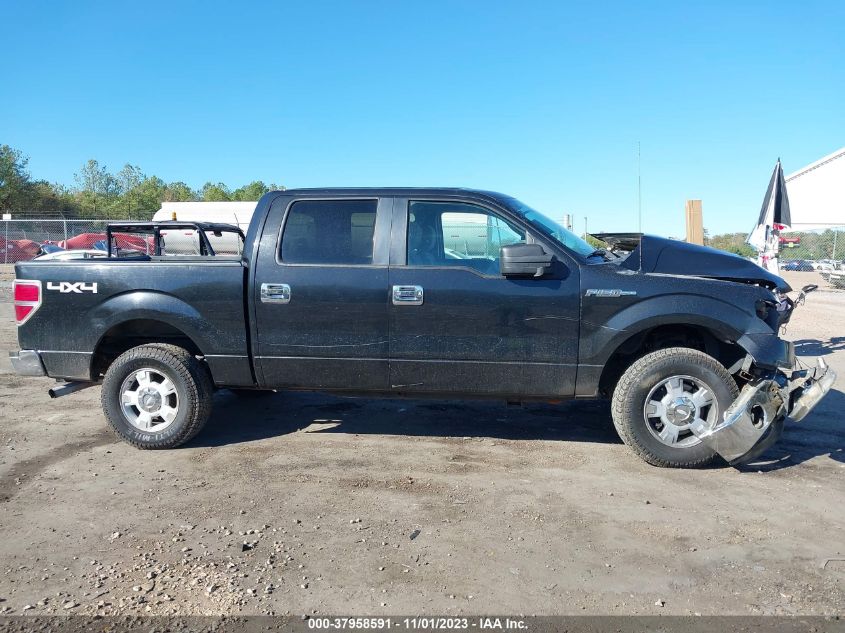 2013 FORD F-150 XLT - 1FTFW1EF3DFB99558