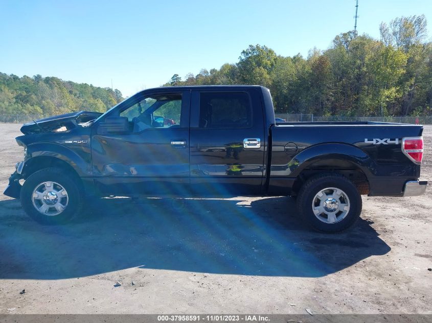 2013 FORD F-150 XLT - 1FTFW1EF3DFB99558