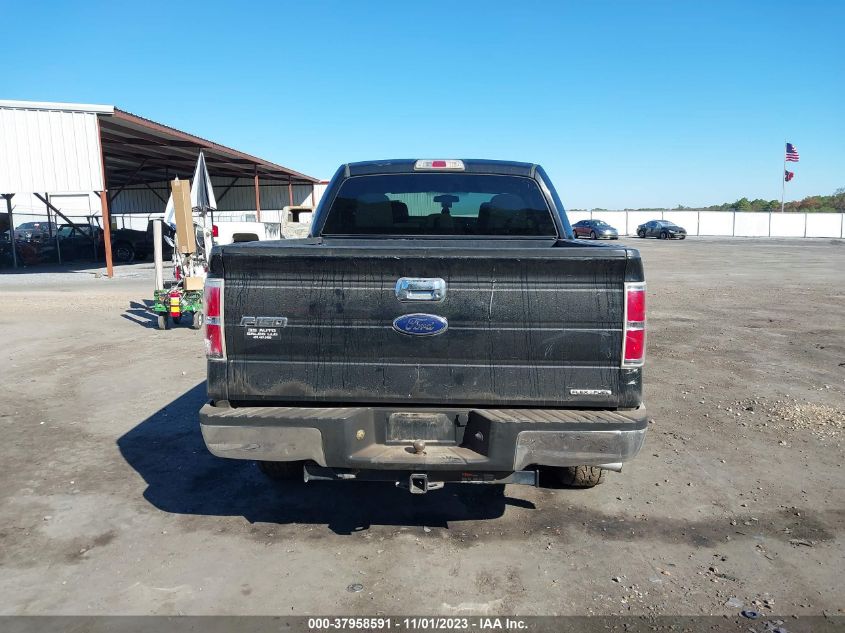 2013 FORD F-150 XLT - 1FTFW1EF3DFB99558