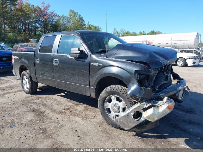 2013 FORD F-150 XLT - 1FTFW1EF3DFB99558