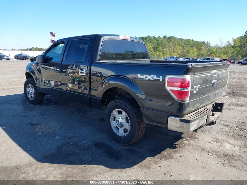 2013 FORD F-150 XLT - 1FTFW1EF3DFB99558