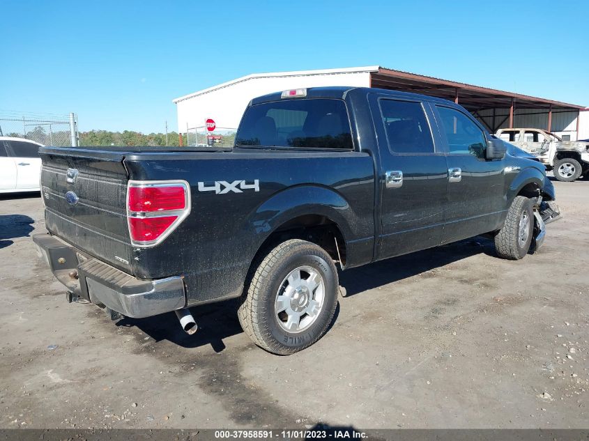 2013 FORD F-150 XLT - 1FTFW1EF3DFB99558