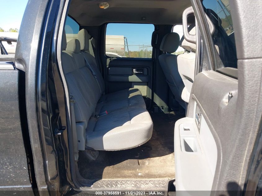 2013 FORD F-150 XLT - 1FTFW1EF3DFB99558