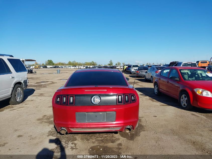 2013 FORD MUSTANG V6 - 1ZVBP8AM8D5276789