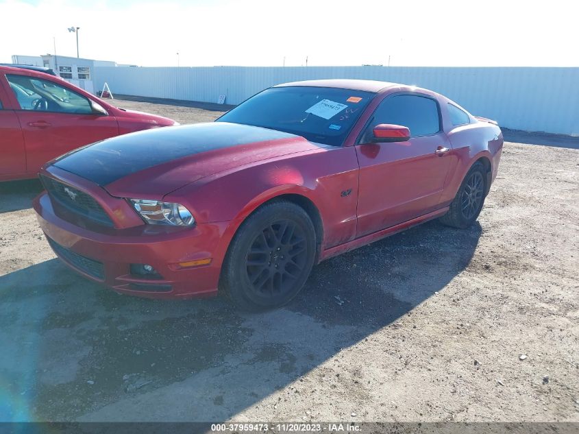 2013 FORD MUSTANG V6 - 1ZVBP8AM8D5276789