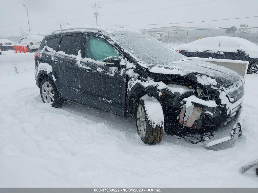 2014 FORD ESCAPE TITANIUM - 1FMCU9J95EUC44046