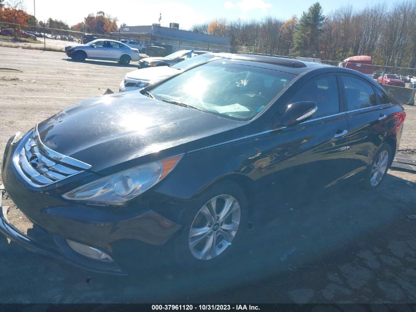 2013 HYUNDAI SONATA LIMITED - 5NPEC4AC2DH658148