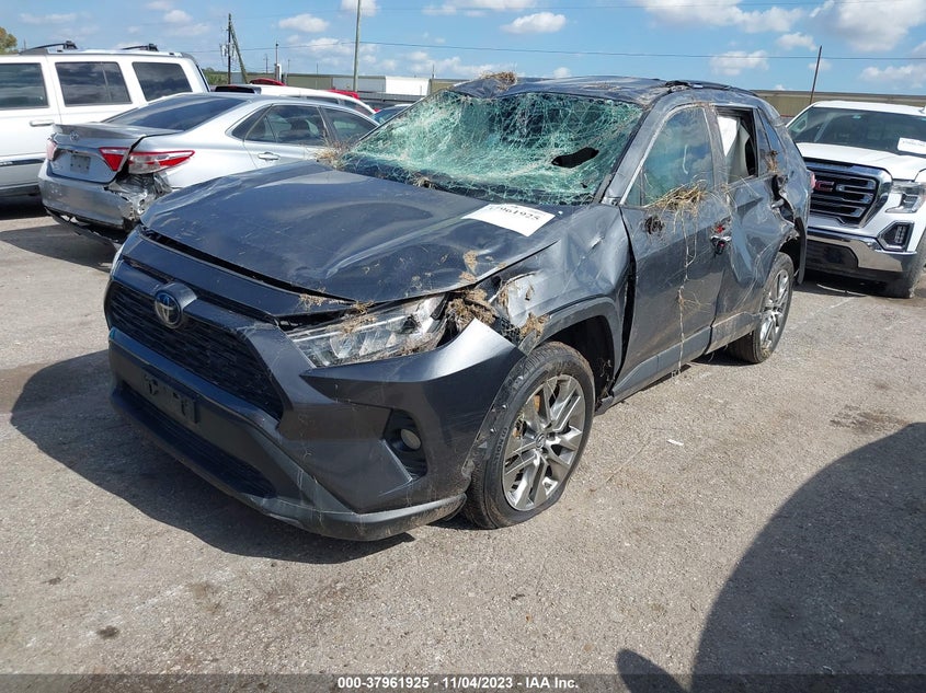 VIN 2T3C1RFV9KC023620 2019 TOYOTA RAV4 XLE PREMIUM