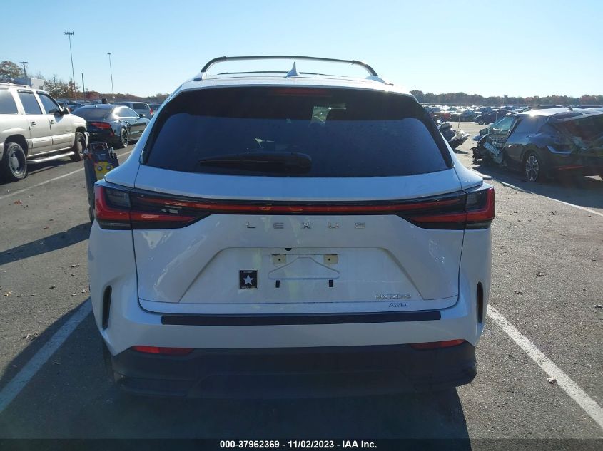 2023 LEXUS NX 250 JTJADCEZ9P5000865