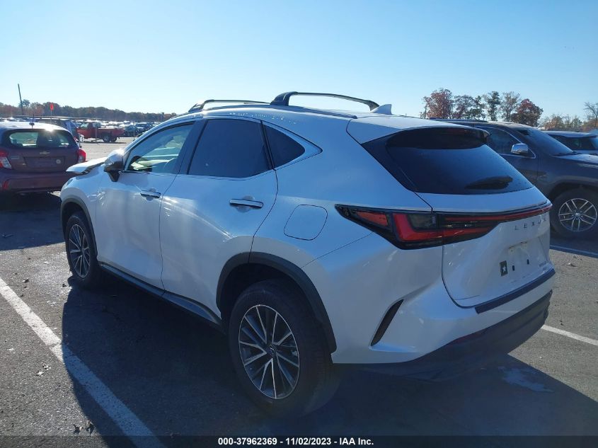 2023 LEXUS NX 250 JTJADCEZ9P5000865