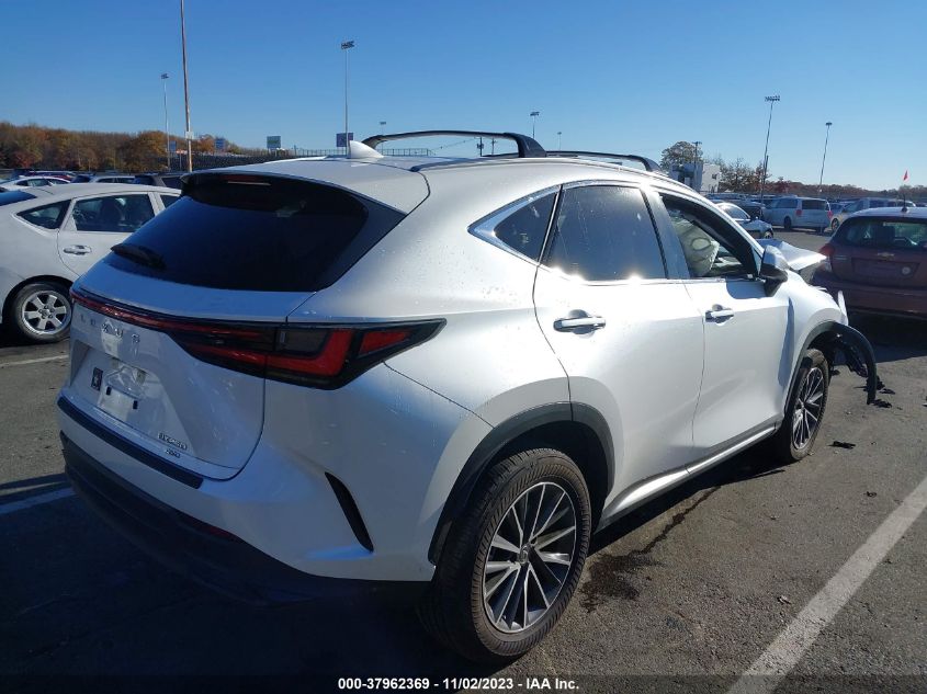 2023 LEXUS NX 250 JTJADCEZ9P5000865