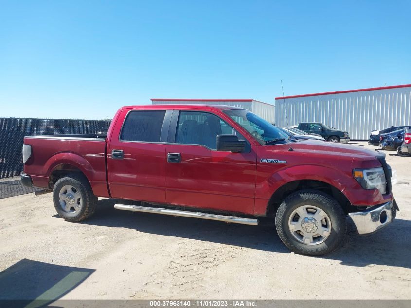 2013 FORD F-150 XL/XLT - 1FTEW1CM1DFC64808