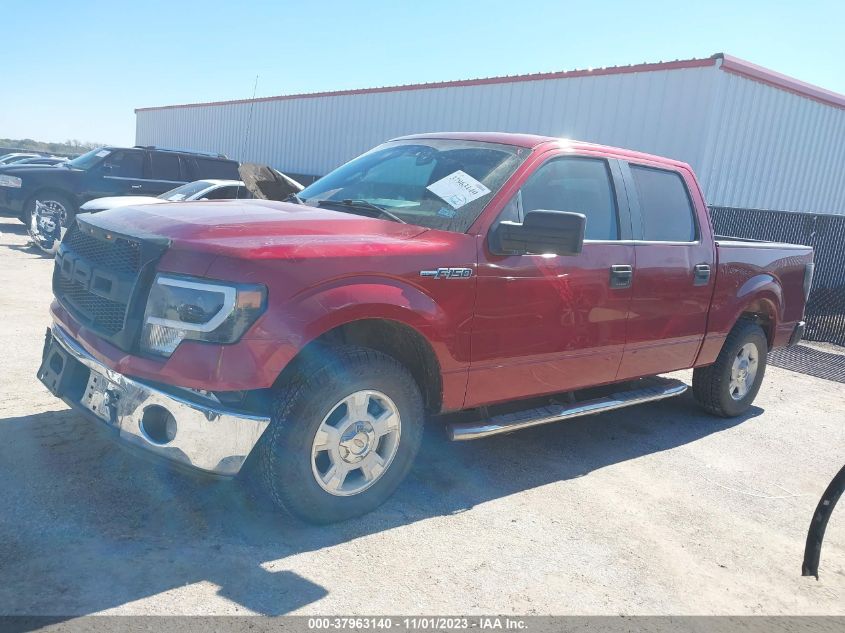 2013 FORD F-150 XL/XLT - 1FTEW1CM1DFC64808