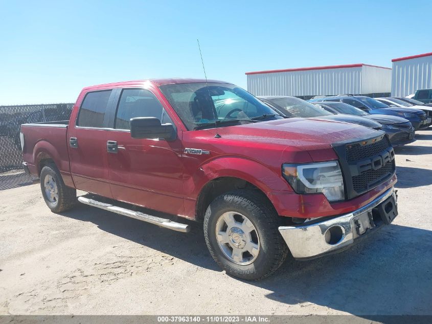 2013 FORD F-150 XL/XLT - 1FTEW1CM1DFC64808