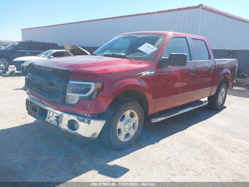 2013 FORD F-150 XL/XLT - 1FTEW1CM1DFC64808