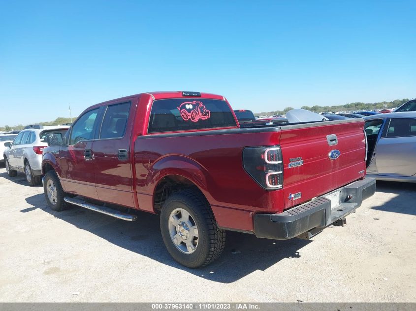 2013 FORD F-150 XL/XLT - 1FTEW1CM1DFC64808