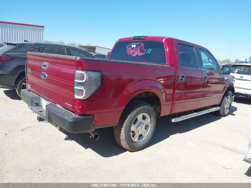 2013 FORD F-150 XL/XLT - 1FTEW1CM1DFC64808