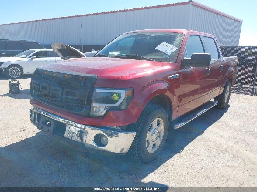 2013 FORD F-150 XL/XLT - 1FTEW1CM1DFC64808