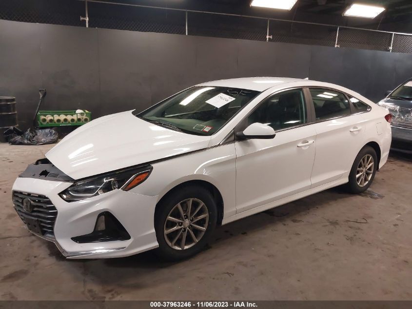 2019 HYUNDAI SONATA SE - 5NPE24AF3KH766370