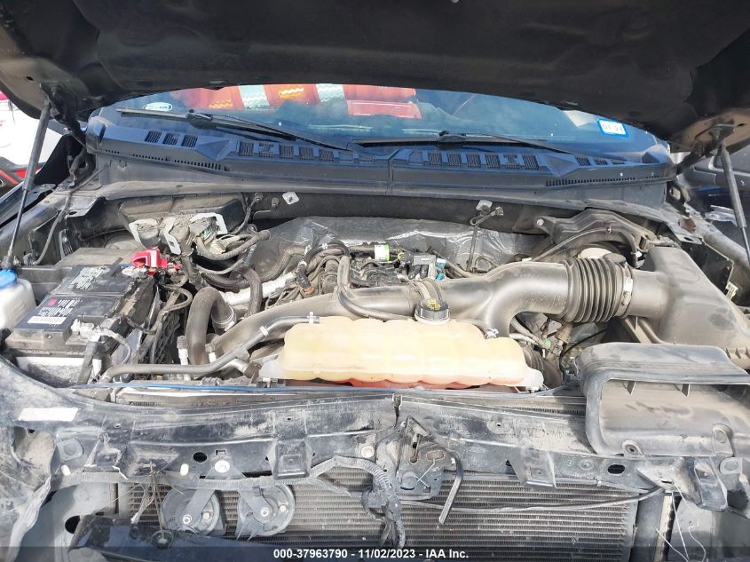 2019 FORD F-150 XLT - 1FTEW1EP6KKC01652