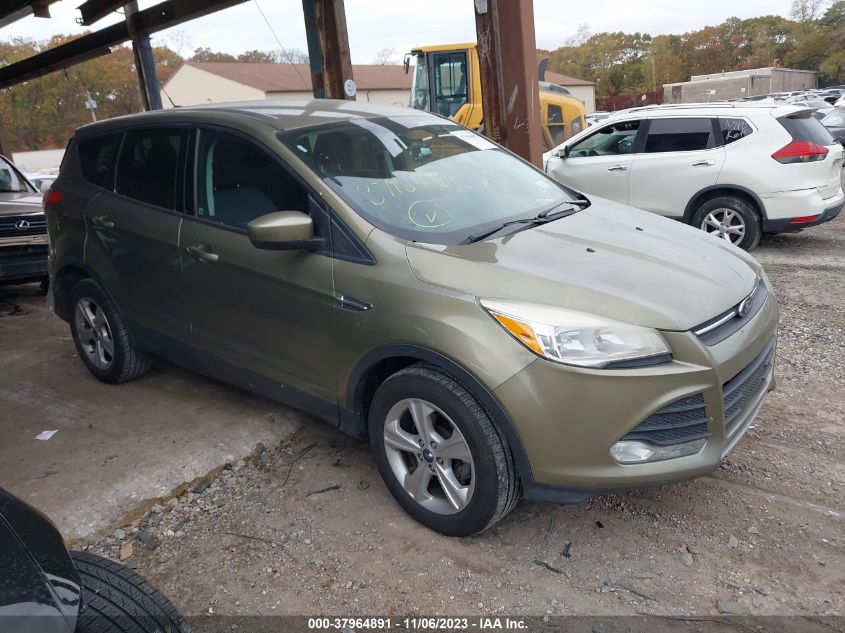 2013 FORD ESCAPE SE - 1FMCU0GX1DUD65298