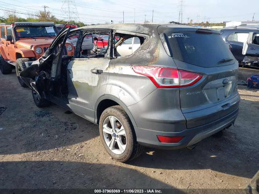2014 FORD ESCAPE SE - 1FMCU0GX3EUE56204
