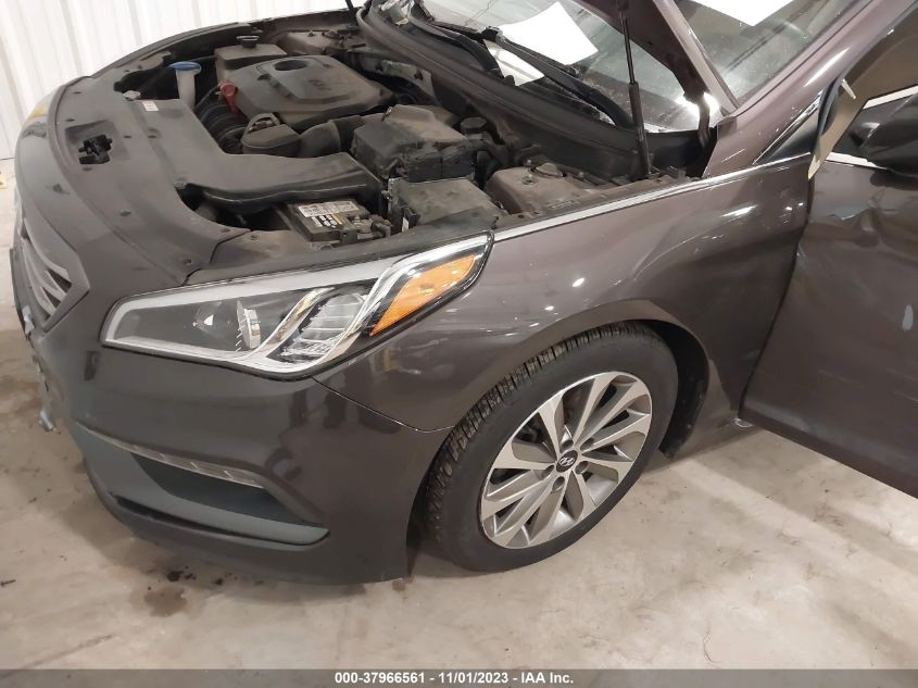 2016 HYUNDAI SONATA SPORT/LIMITED - 5NPE34AF9GH293546