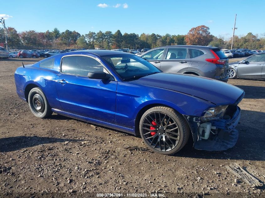 1ZVBP8AM7E5290474 2014 FORD MUSTANG - Image 1