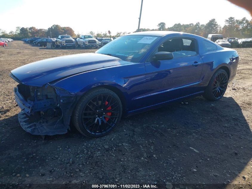 1ZVBP8AM7E5290474 2014 FORD MUSTANG - Image 2