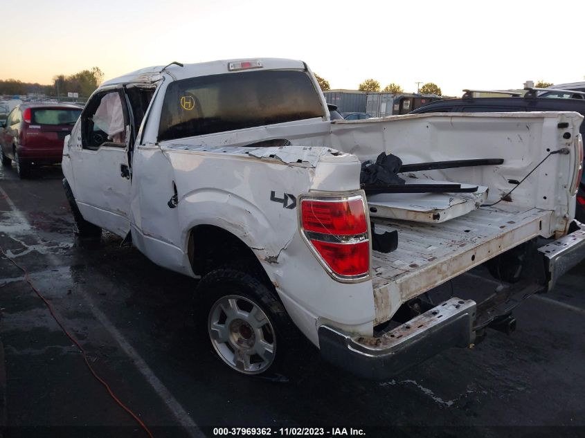 2014 FORD F-150 XLT - 1FTFX1EF1EKE73734