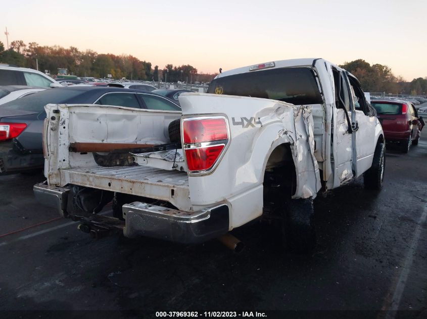 2014 FORD F-150 XLT - 1FTFX1EF1EKE73734