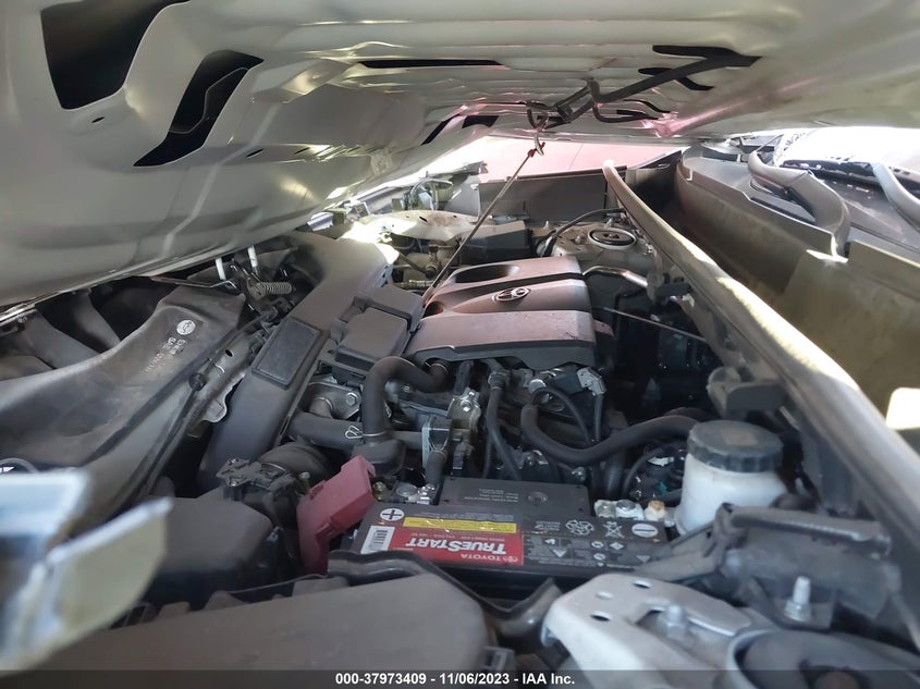 VIN 2T3W1RFV6KC012295 2019 TOYOTA RAV4 XLE/XLE PREMIUM