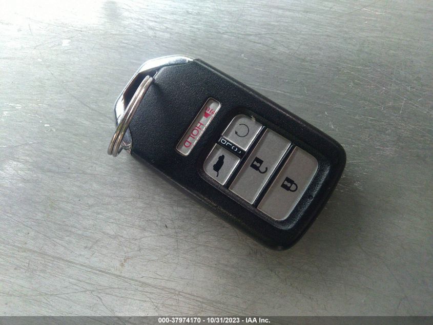 2019 HONDA PILOT - 5KBYF589XK8800750