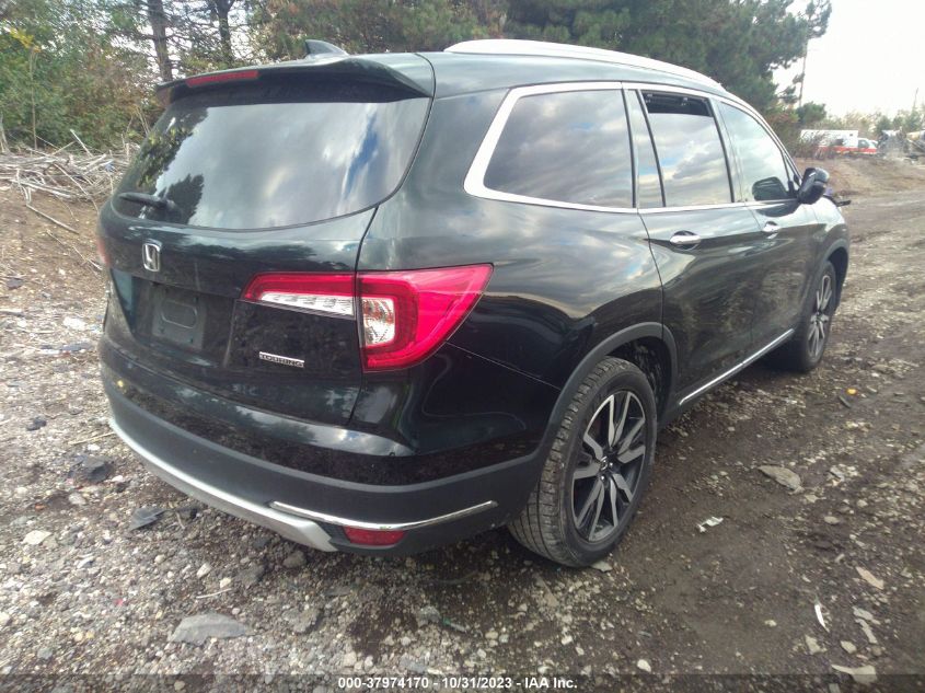 2019 HONDA PILOT - 5KBYF589XK8800750