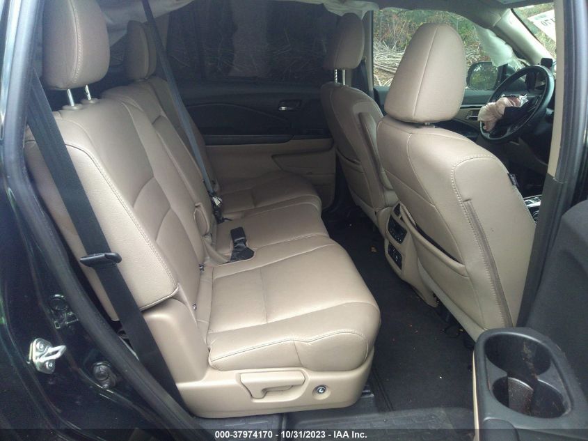 2019 HONDA PILOT - 5KBYF589XK8800750