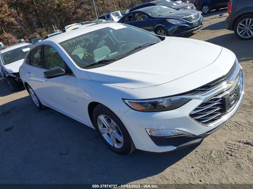2019 CHEVROLET MALIBU LS - 1G1ZC5ST2KF195899