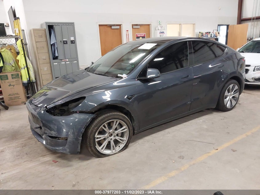 VIN 7SAYGDEE9PA032435 2023 TESLA MODEL Y