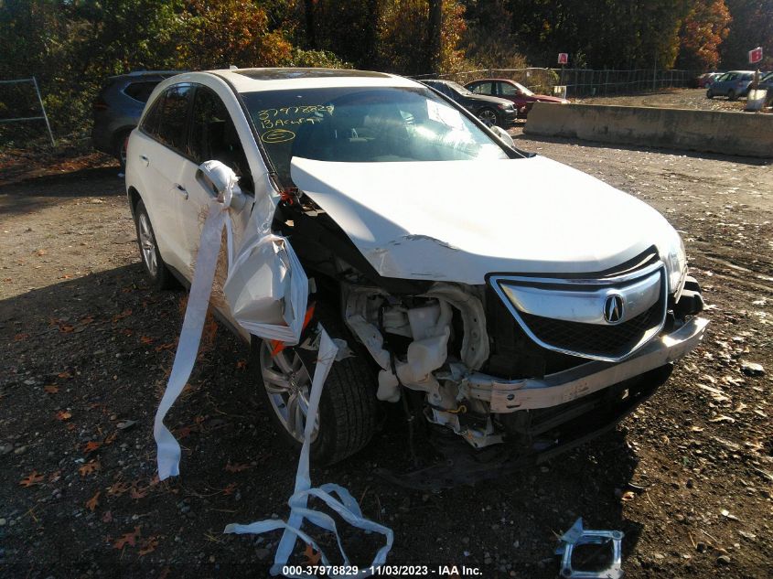 2013 ACURA RDX - 5J8TB3H31DL003227